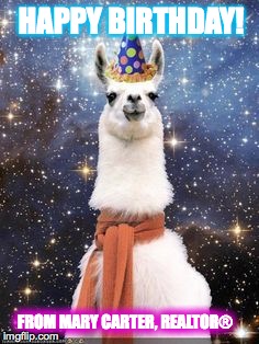 Happy Birthday Alpaca | HAPPY BIRTHDAY! FROM MARY CARTER, REALTOR® | image tagged in happy birthday alpaca | made w/ Imgflip meme maker