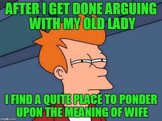 I need to get a wife.  *life | AFTER I GET DONE ARGUING WITH MY OLD LADY; I FIND A QUITE PLACE TO PONDER UPON THE MEANING OF WIFE | image tagged in memes,futurama fry | made w/ Imgflip meme maker