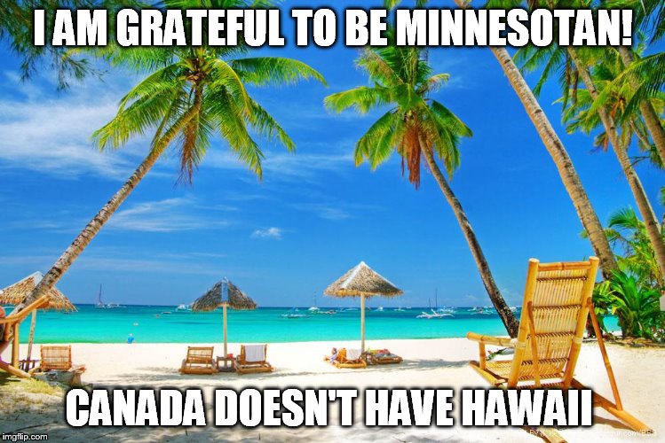 Hawaii | I AM GRATEFUL TO BE MINNESOTAN! CANADA DOESN'T HAVE HAWAII | image tagged in hawaii | made w/ Imgflip meme maker