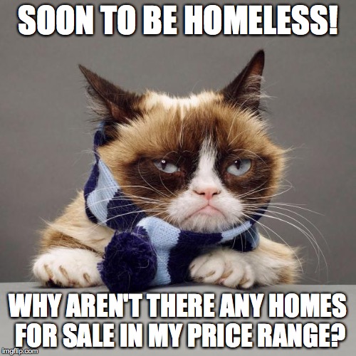 grumpy cat winter | SOON TO BE HOMELESS! WHY AREN'T THERE ANY HOMES FOR SALE IN MY PRICE RANGE? | image tagged in grumpy cat winter | made w/ Imgflip meme maker