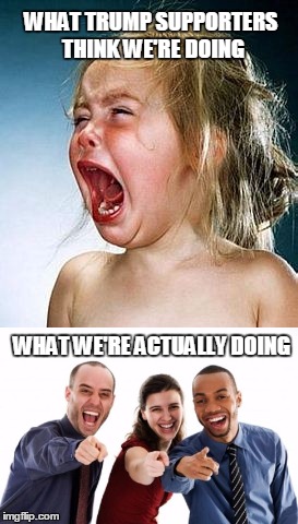 Liberals | WHAT TRUMP SUPPORTERS THINK WE'RE DOING; WHAT WE'RE ACTUALLY DOING | image tagged in liberals,crying,trump | made w/ Imgflip meme maker