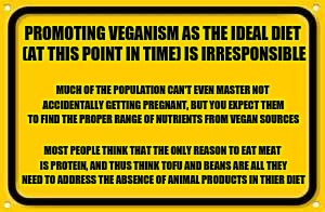 Tofu does NOT equal meat | PROMOTING VEGANISM AS THE IDEAL DIET (AT THIS POINT IN TIME) IS IRRESPONSIBLE; MUCH OF THE POPULATION CAN'T EVEN MASTER NOT ACCIDENTALLY GETTING PREGNANT, BUT YOU EXPECT THEM TO FIND THE PROPER RANGE OF NUTRIENTS FROM VEGAN SOURCES; MOST PEOPLE THINK THAT THE ONLY REASON TO EAT MEAT IS PROTEIN, AND THUS THINK TOFU AND BEANS ARE ALL THEY NEED TO ADDRESS THE ABSENCE OF ANIMAL PRODUCTS IN THIER DIET | image tagged in memes,blank yellow sign | made w/ Imgflip meme maker