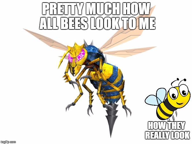 how bees look to me | PRETTY MUCH HOW ALL BEES LOOK TO ME; HOW THEY REALLY LOOK | image tagged in bee,scare | made w/ Imgflip meme maker