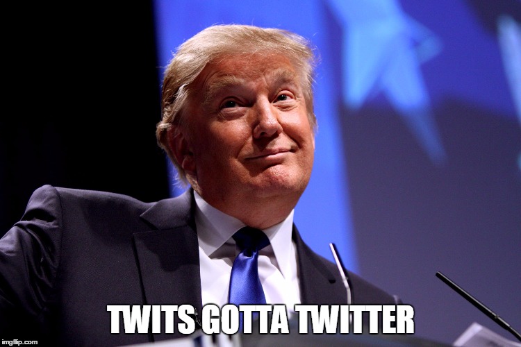 Donald Trump No2 | TWITS GOTTA TWITTER | image tagged in donald trump no2 | made w/ Imgflip meme maker