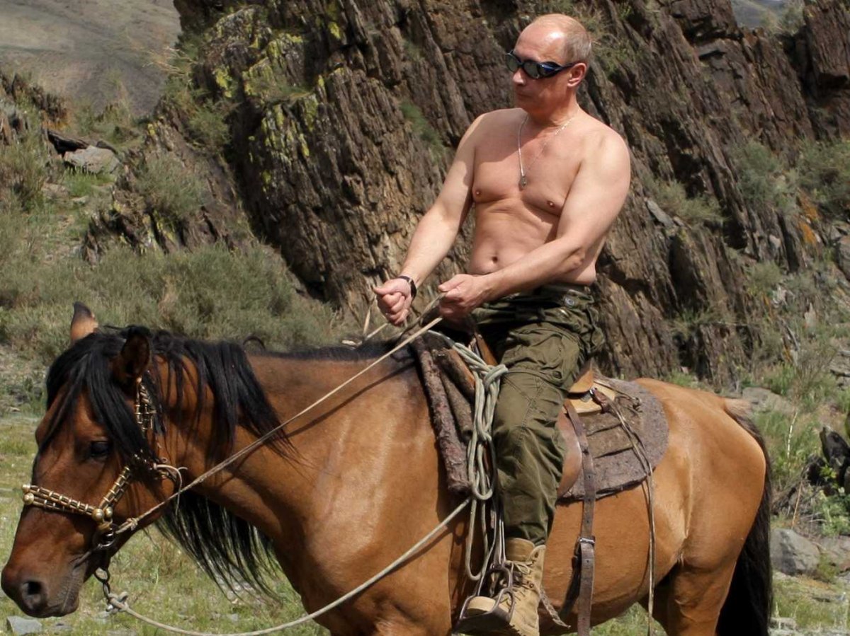 Putin horse Blank Meme Template