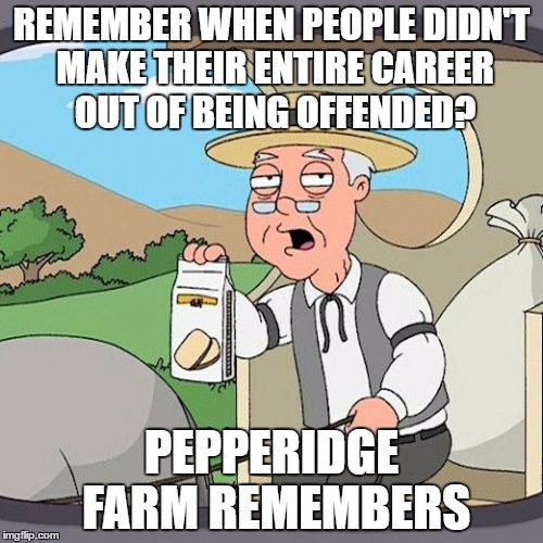 Some things ARE offensive, I get that, but it seems like our society has forgotten how to live and let live. | REMEMBER WHEN PEOPLE DIDN'T MAKE THEIR ENTIRE CAREER OUT OF BEING OFFENDED? PEPPERIDGE FARM REMEMBERS | image tagged in memes,pepperidge farm remembers | made w/ Imgflip meme maker