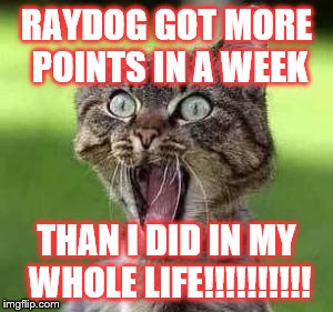 NO MEME TEMPLATE CAN EVER EXPRESS MY RAGE!!!!!!!!!!!!!!!!!!!!!! | RAYDOG GOT MORE POINTS IN A WEEK; THAN I DID IN MY WHOLE LIFE!!!!!!!!!! | image tagged in memes,cats,gifs,funny,pie charts,animals | made w/ Imgflip meme maker