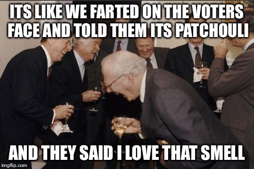 Laughing Men In Suits Meme | ITS LIKE WE FARTED ON THE VOTERS FACE AND TOLD THEM ITS PATCHOULI; AND THEY SAID I LOVE THAT SMELL | image tagged in memes,laughing men in suits | made w/ Imgflip meme maker