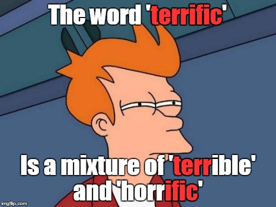 I'm never gonna use that word ever again | terrific; The word 'terrific'; terr; Is a mixture of 'terrible' and 'horrific'; ific | image tagged in memes,futurama fry,trhtimmy,english | made w/ Imgflip meme maker