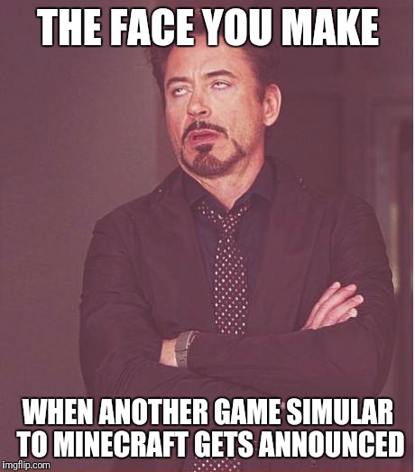 The face I make | THE FACE YOU MAKE; WHEN ANOTHER GAME SIMULAR TO MINECRAFT GETS ANNOUNCED | image tagged in memes,face you make robert downey jr | made w/ Imgflip meme maker