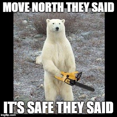 Chainsaw Bear | MOVE NORTH THEY SAID; IT'S SAFE THEY SAID | image tagged in memes,chainsaw bear | made w/ Imgflip meme maker