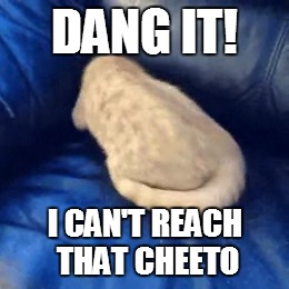 DANG IT! I CAN'T REACH THAT CHEETO | made w/ Imgflip meme maker