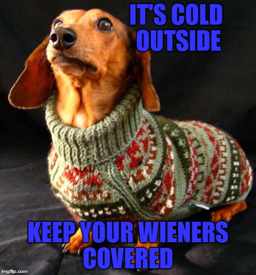 What?? The dachshunds need sweaters!   | IT'S COLD OUTSIDE; KEEP YOUR WIENERS COVERED | image tagged in memes,lol,lynch1979 | made w/ Imgflip meme maker