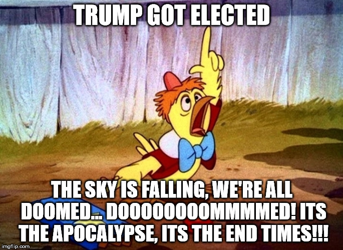 chicken little large | TRUMP GOT ELECTED; THE SKY IS FALLING, WE'RE ALL DOOMED... DOOOOOOOOMMMMED! ITS THE APOCALYPSE, ITS THE END TIMES!!! | image tagged in chicken little large | made w/ Imgflip meme maker