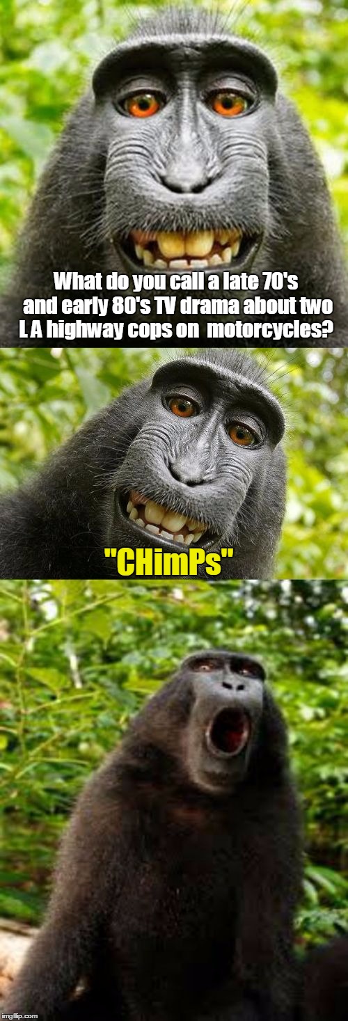 bad pun monkey | What do you call a late 70's and early 80's TV drama about two L A highway cops on  motorcycles? "CHimPs" | image tagged in bad pun monkey | made w/ Imgflip meme maker