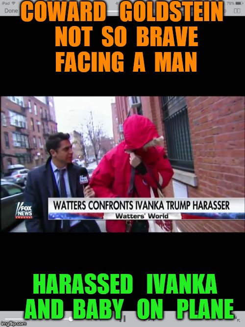 coward | COWARD   GOLDSTEIN  NOT  SO  BRAVE  FACING  A  MAN; HARASSED   IVANKA  AND  BABY   ON   PLANE | image tagged in memes | made w/ Imgflip meme maker