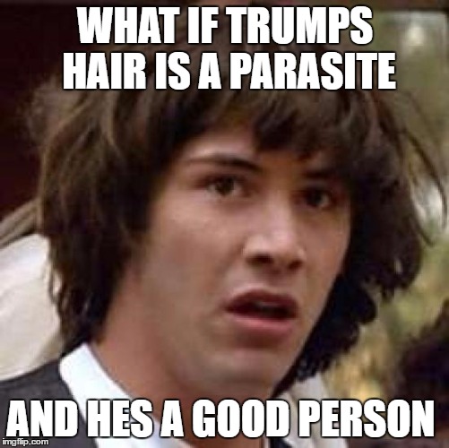 Conspiracy Keanu | WHAT IF TRUMPS HAIR IS A PARASITE; AND HES A GOOD PERSON | image tagged in memes,conspiracy keanu | made w/ Imgflip meme maker