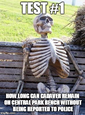 Waiting Skeleton Meme | TEST #1 HOW LONG CAN CADAVER REMAIN ON CENTRAL PARK BENCH WITHOUT BEING REPORTED TO POLICE | image tagged in memes,waiting skeleton | made w/ Imgflip meme maker