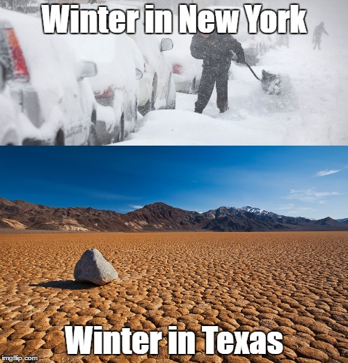 Texas' Winter | Winter in New York; Winter in Texas | image tagged in texas,winter,desert,snow | made w/ Imgflip meme maker