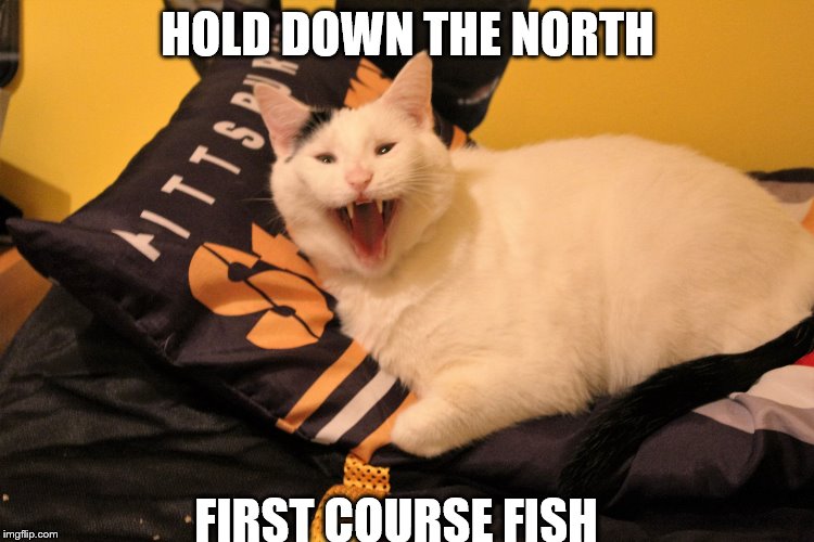 HOLD DOWN THE NORTH; FIRST COURSE FISH | image tagged in fish thought what | made w/ Imgflip meme maker