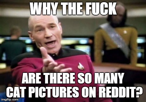 Picard Wtf | image tagged in memes,picard wtf | made w/ Imgflip meme maker