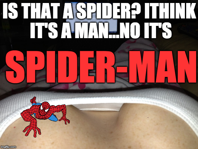 read comment :) | IS THAT A SPIDER? ITHINK IT'S A MAN...NO IT'S; SPIDER-MAN | image tagged in sexy,spiderman,funny,meme,oops,boobs | made w/ Imgflip meme maker