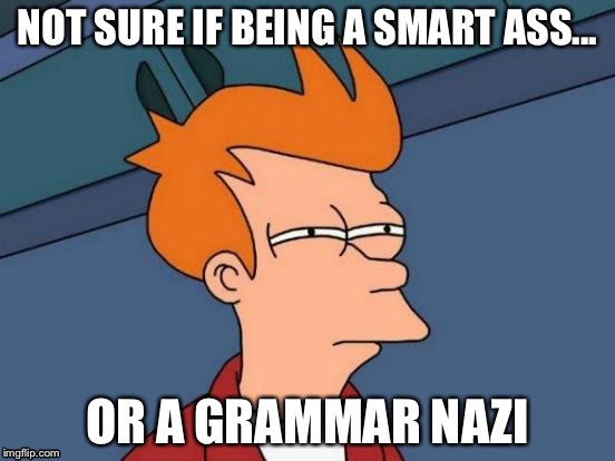 NOT SURE IF BEING A SMART ASS... OR A GRAMMAR NAZI | image tagged in memes,futurama fry | made w/ Imgflip meme maker