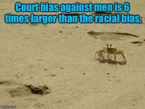 Little Acknowledged Fact Crab | Court bias against men is 6 times larger than the racial bias. | image tagged in little acknowledged fact crab | made w/ Imgflip meme maker