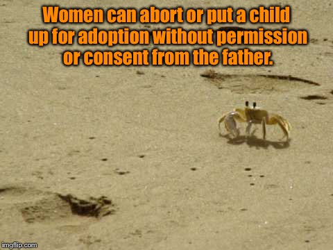 Little Acknowledged Fact Crab | Women can abort or put a child up for adoption without permission or consent from the father. | image tagged in little acknowledged fact crab | made w/ Imgflip meme maker