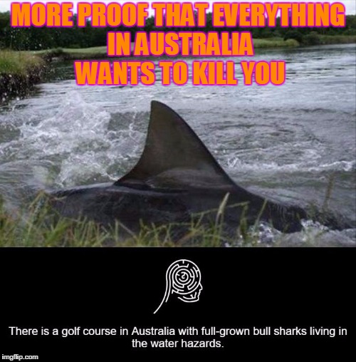 Hazards of golfing  | MORE PROOF THAT EVERYTHING IN AUSTRALIA WANTS TO KILL YOU | image tagged in hazards of golfing | made w/ Imgflip meme maker