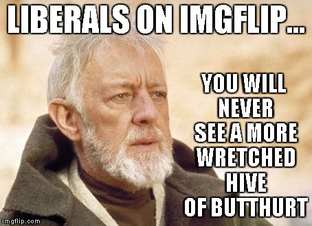 LIBERALS ON IMGFLIP... YOU WILL NEVER SEE A MORE WRETCHED HIVE OF BUTTHURT | made w/ Imgflip meme maker