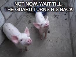 NOT NOW. WAIT TILL THE GUARD TURNS HIS BACK | made w/ Imgflip meme maker