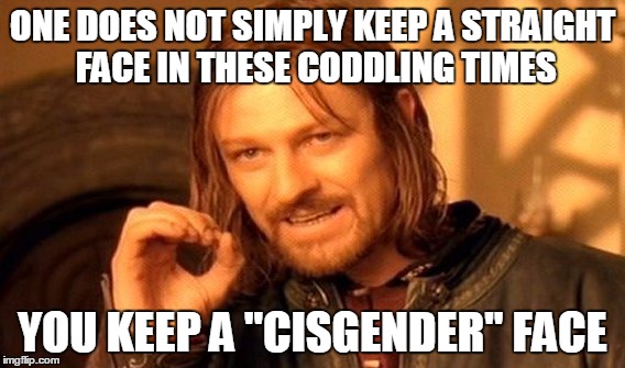 One Does Not Simply Meme | ONE DOES NOT SIMPLY KEEP A STRAIGHT FACE IN THESE CODDLING TIMES YOU KEEP A "CISGENDER" FACE | image tagged in memes,one does not simply | made w/ Imgflip meme maker