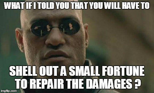 Matrix Morpheus Meme | WHAT IF I TOLD YOU THAT YOU WILL HAVE TO SHELL OUT A SMALL FORTUNE TO REPAIR THE DAMAGES ? | image tagged in memes,matrix morpheus | made w/ Imgflip meme maker