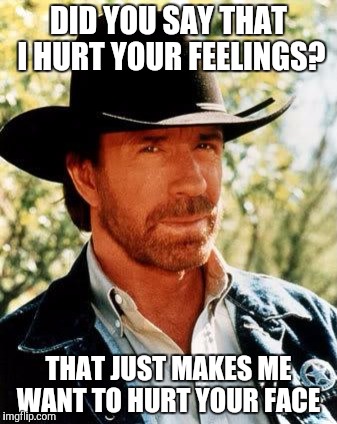 Chuck Norris Meme | DID YOU SAY THAT I HURT YOUR FEELINGS? THAT JUST MAKES ME WANT TO HURT YOUR FACE | image tagged in memes,chuck norris | made w/ Imgflip meme maker
