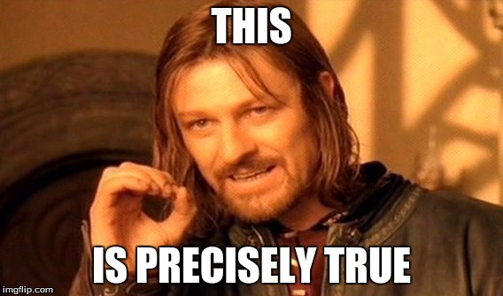 One Does Not Simply Meme | THIS IS PRECISELY TRUE | image tagged in memes,one does not simply | made w/ Imgflip meme maker