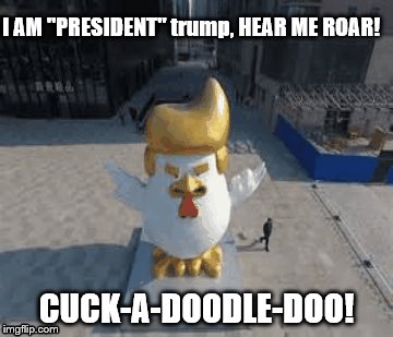 chicken trump | I AM "PRESIDENT" trump, HEAR ME ROAR! CUCK-A-DOODLE-DOO! | image tagged in anti trump meme,anti trump,chicken,politics,politician | made w/ Imgflip meme maker