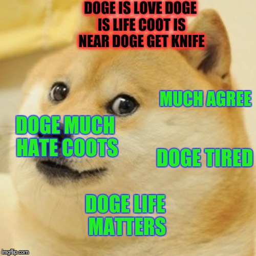 Doge Meme | DOGE IS LOVE DOGE IS LIFE COOT IS NEAR DOGE GET KNIFE; MUCH AGREE; DOGE MUCH HATE COOTS; DOGE TIRED; DOGE LIFE MATTERS | image tagged in memes,doge | made w/ Imgflip meme maker