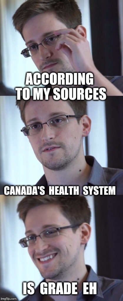 Bad Pun Snowden | ACCORDING TO MY SOURCES IS  GRADE  EH CANADA'S  HEALTH  SYSTEM | image tagged in bad pun snowden | made w/ Imgflip meme maker