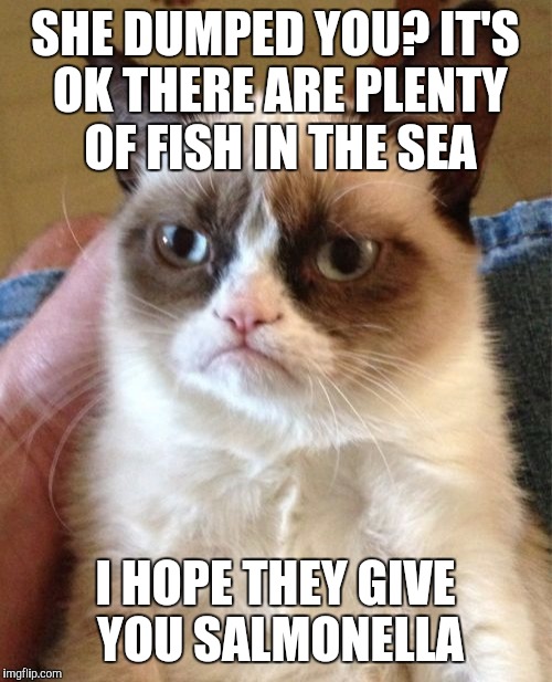 Grumpy Cat | SHE DUMPED YOU? IT'S OK THERE ARE PLENTY OF FISH IN THE SEA; I HOPE THEY GIVE YOU SALMONELLA | image tagged in memes,grumpy cat | made w/ Imgflip meme maker
