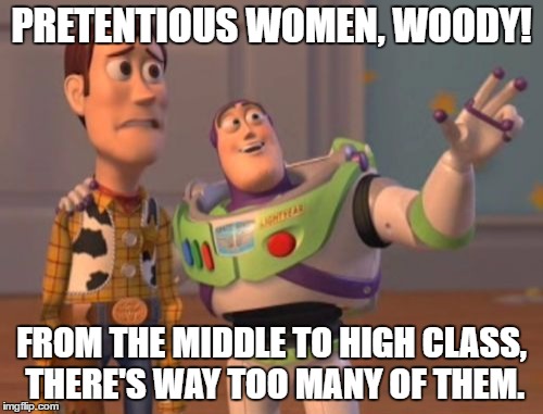 X, X Everywhere | PRETENTIOUS WOMEN, WOODY! FROM THE MIDDLE TO HIGH CLASS, THERE'S WAY TOO MANY OF THEM. | image tagged in memes,x x everywhere | made w/ Imgflip meme maker