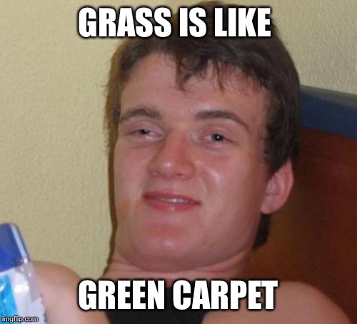 10 Guy Meme | GRASS IS LIKE; GREEN CARPET | image tagged in memes,10 guy | made w/ Imgflip meme maker