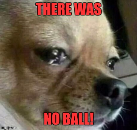 Dog Problems | THERE WAS; NO BALL! | image tagged in dog problems | made w/ Imgflip meme maker
