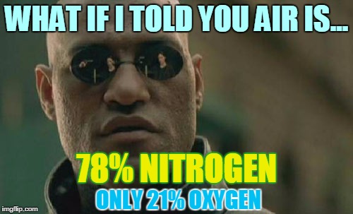 Matrix Morpheus Meme | WHAT IF I TOLD YOU AIR IS... 78% NITROGEN; ONLY 21% OXYGEN | image tagged in memes,matrix morpheus | made w/ Imgflip meme maker