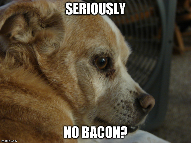 Shane  leave me alone  | SERIOUSLY; NO BACON? | image tagged in shane  leave me alone | made w/ Imgflip meme maker