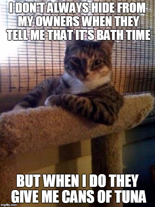 The Most Interesting Cat In The World Meme | I DON'T ALWAYS HIDE FROM MY OWNERS WHEN THEY TELL ME THAT IT'S BATH TIME; BUT WHEN I DO THEY GIVE ME CANS OF TUNA | image tagged in memes,the most interesting cat in the world | made w/ Imgflip meme maker