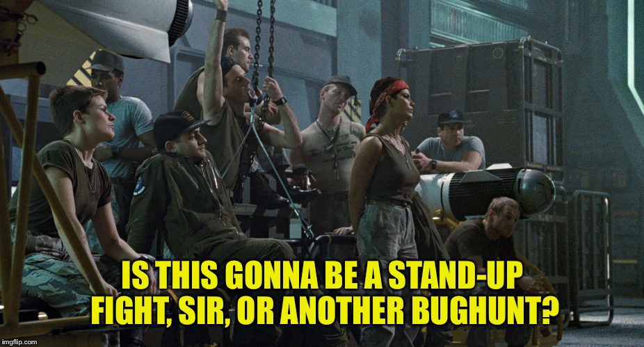 IS THIS GONNA BE A STAND-UP FIGHT, SIR, OR ANOTHER BUGHUNT? | image tagged in bughunt aliens | made w/ Imgflip meme maker