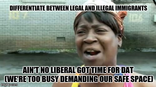 Ain't Nobody Got Time For That Meme | DIFFERENTIATE BETWEEN LEGAL AND ILLEGAL IMMIGRANTS AIN'T NO LIBERAL GOT TIME FOR DAT (WE'RE TOO BUSY DEMANDING OUR SAFE SPACE) | image tagged in memes,aint nobody got time for that | made w/ Imgflip meme maker