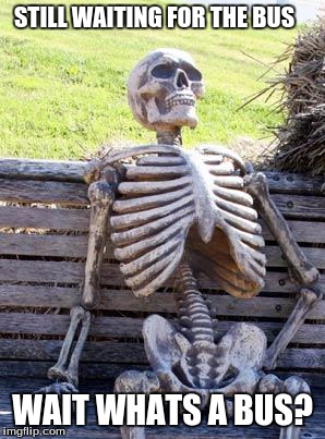 Waiting Skeleton | STILL WAITING FOR THE BUS; WAIT WHATS A BUS? | image tagged in memes,waiting skeleton | made w/ Imgflip meme maker