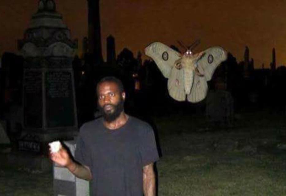 Mothra in the graveyard Blank Meme Template
